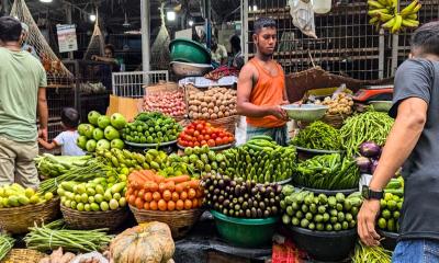 স্থিতিশীল সবজির বাজার