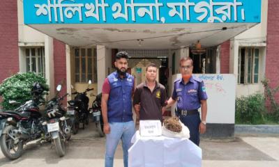 শালিখায় গাঁজাসহ মাদক কারবারি আটক