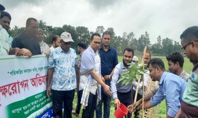 মধুপুরে উপজেলা প্রশাসনের উদ্যোগে ‘বৃক্ষ রোপণ’ অভিযান