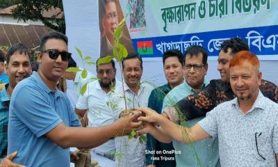 খাগড়াছড়ি জেলা বিএনপির উদ্যোগে ৫০ হাজার চারা বিতরণ