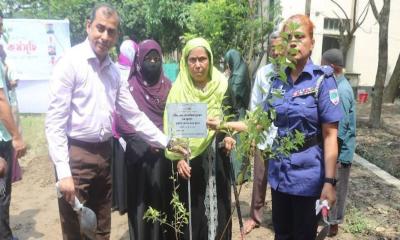জুলাই শহিদদের স্মরণে মাগুরায় বৃক্ষরোপণ কর্মসূচি