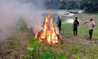যৌথ অভিযানে সোয়া লাখ টাকার নিষিদ্ধ চায়না জাল জব্দ, আগুনে পুড়িয়ে ধ্বংস