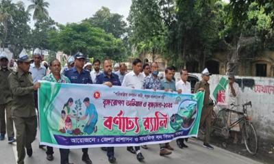 পরিকল্পিত নগরায়নে বৃক্ষরোপণের বিকল্প নেই