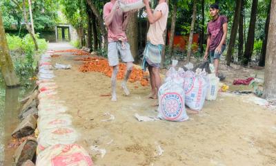 বোয়ালখালীতে সড়ক সংস্কার কাজ শুরু করেছে পৌর প্রশাসন
