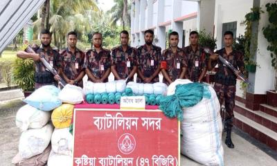 দৌলতপুরে বিজিবির অভিযানে প্রায় ১৫ লাখ টাকার জাল ও মাদক উদ্ধার