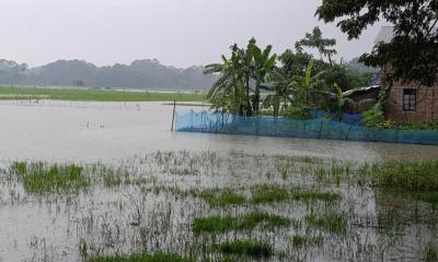 বঙ্গোপসাগরে সৃষ্ট নিম্নচাপ ও টানা বৃষ্টিতে দুমকির নিম্নাঞ্চল প্লাবিত