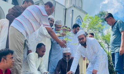 খালেদা জিয়ার জন্মবার্ষিকী উপলক্ষে ইবিতে দোয়া ও বৃক্ষরোপণ