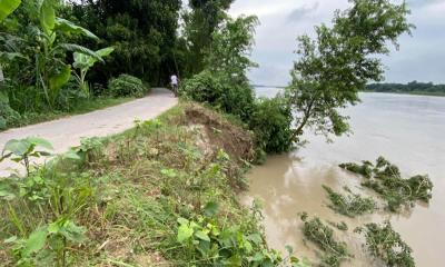 খোকসায় নদী ভাঙনে হুমকিতে পাকা রাস্তা ও বসত বাড়ি