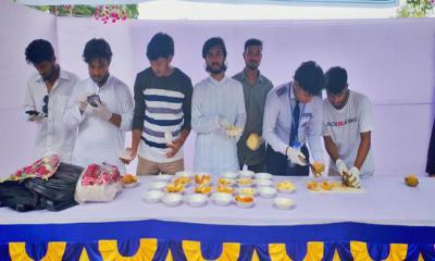 কুড়িগ্রামে বাংলাদেশ গণতান্ত্রিক ছাত্র সংসদের মৌসুমী ফল উৎসব