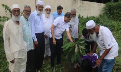 মাগুরার সিরিজদিয়া বাওড়ে বৃক্ষরোপণ কর্মসূচি অনুষ্ঠিত