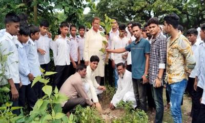 হরিণাকুণ্ডুতে পরিবেশ রক্ষায় গাছের চারা রোপণ ও বিতরণ