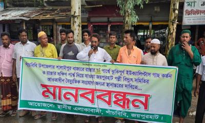 ঝুঁকিপূর্ণ গাছ কর্তন ও বিদ্যুৎ লাইন স্থানান্তরের দাবিতে মানববন্ধন