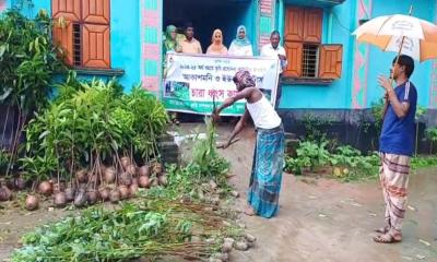 ফুলবাড়ীতে ৯ হাজার ইউক্যালিপটাস গাছের চারা ধ্বংস