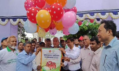 রাঙামাটিতে ৭ দিনব্যাপী বৃক্ষ মেলা শুরু