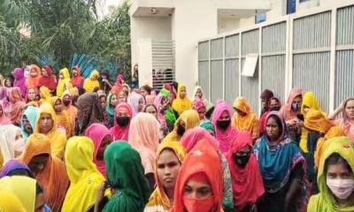 মির্জাপুরে অর্ডার সংকটের কারণে বার্ডস ফ্যাক্টরির উৎপাদন বন্ধ