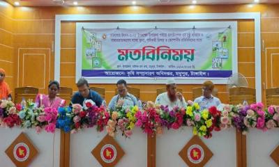 মধুপুরে ওষুধ কোম্পানির প্রতিনিধি, খুচরা ও পাইকারি ডিলারদের মতবিনিময়