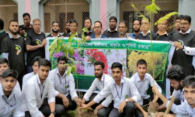 মধুপুরের বিভিন্ন শিক্ষাপ্রতিষ্ঠানে বৃক্ষরোপণ কর্মসূচি উদ্বোধন