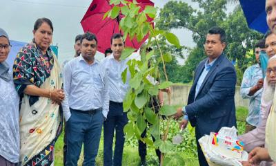 নারায়ণগঞ্জে ‘গ্রিন অ্যান্ড ক্লিন’ কর্মসূচি বাস্তবায়নে জালকুড়িতে বৃক্ষরোপণ কার্যক্রম