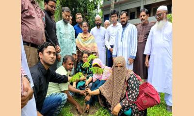 নবাবগঞ্জে “এক শহীদ, এক বৃক্ষ” শীর্ষক বৃক্ষরোপণ কর্মসূচি