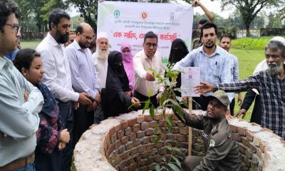 নোয়াখালীতে জুলাই শহীদদের স্মরণে শতবর্ষী গাছ রোপণ