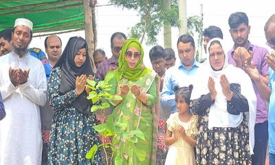 ‘এক শহীদ, এক বৃক্ষ’ কর্মসূচিতে রাজবাড়ীতে বৃক্ষরোপণ