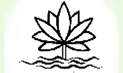 ভোটের মার্কা শাপলা নয়, ইসির সিদ্ধান্ত