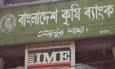 শেরপুরে গ্রাহক সেবায় এগিয়ে বাংলাদেশ কৃষি ব্যাংক
