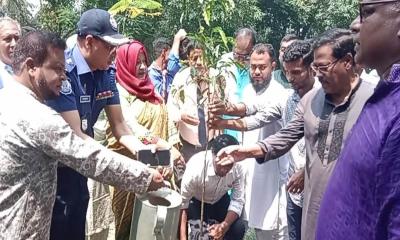 গণঅভ্যুত্থানের শহীদদের স্মরণে কুড়িগ্রামে ‘এক শহীদ, এক বৃক্ষ’ কর্মসূচি