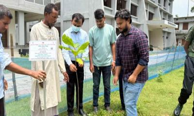 পলাশে ‘এক শহীদ, এক বৃক্ষ’ কর্মসূচি পালিত