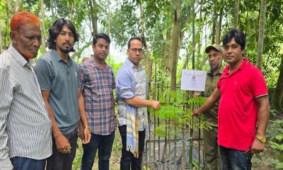 মধুপুরে শহীদ লাল মিয়ার স্মরণে বৃক্ষরোপণ