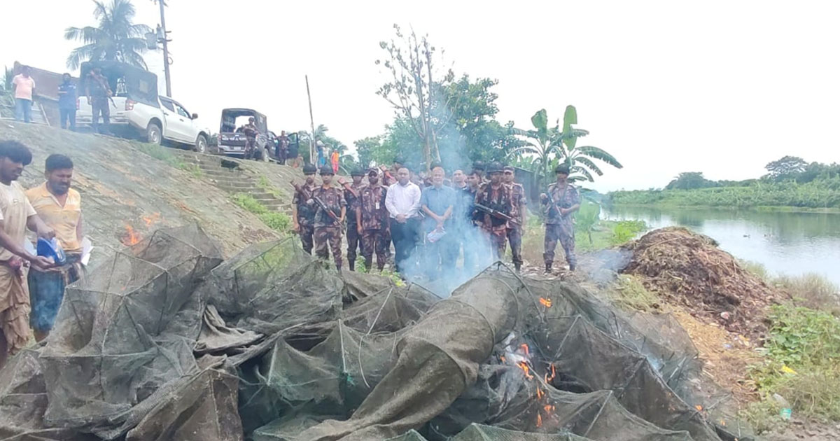 চুয়াডাঙ্গায় বিজিবির অভিযানে বিপুল পরিমাণ চায়না দুয়ারি জাল আটক
