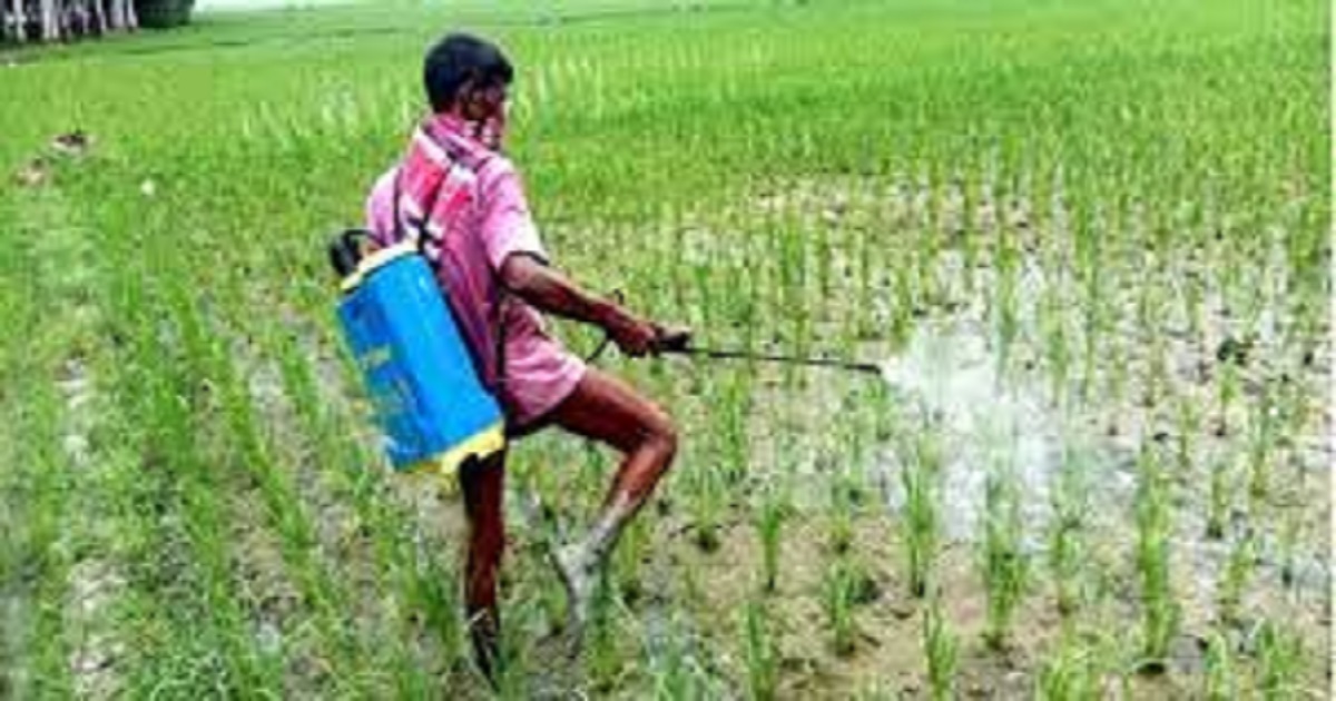 বিষঁ দিয়ে জমির ধান পোড়ানো কে কেন্দ্র করে হামলায় আহত ১০