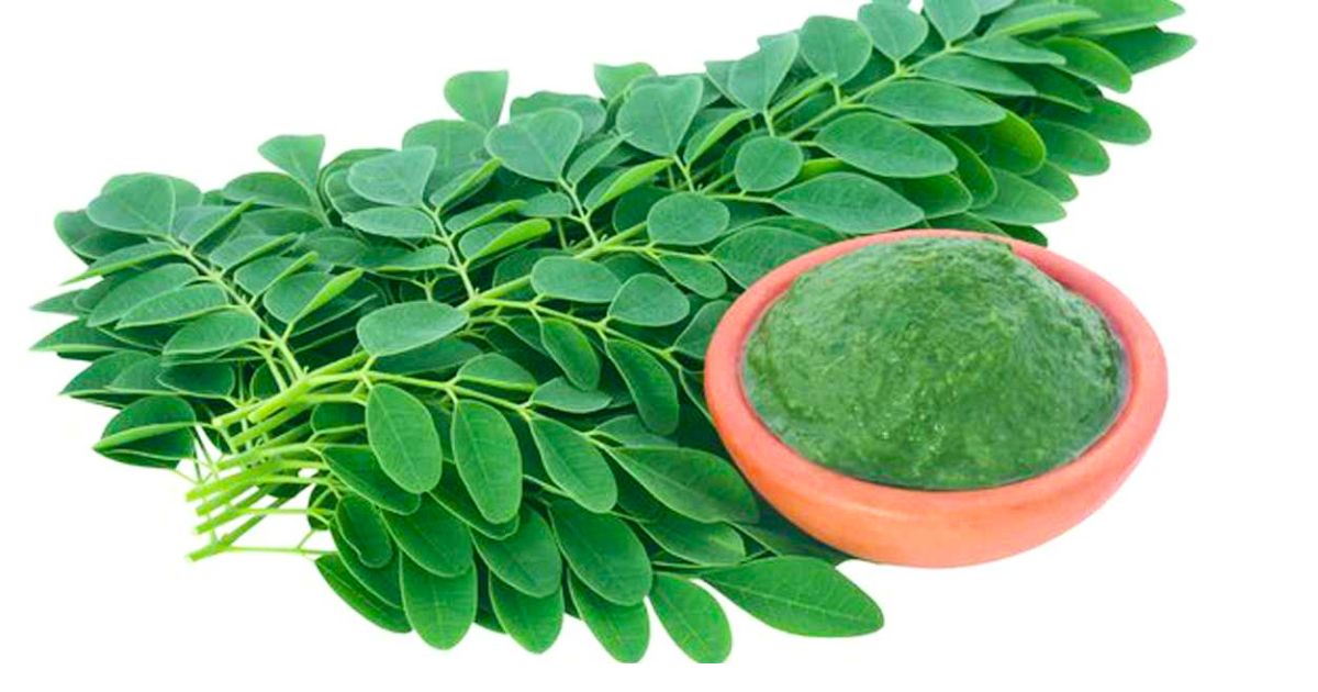 বর্ষাকালে সজনে পাতা খাওয়ার ৫ উপকারিতা