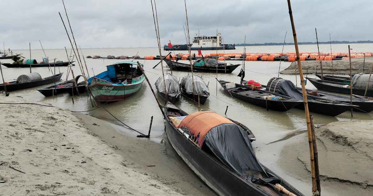 পদ্মায় ইলিশ সংকটে পেশা বদলাচ্ছেন জেলেরা