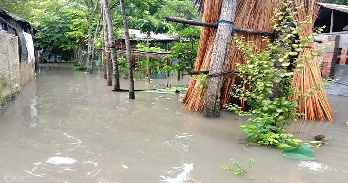 ভবদহে পানিবন্দি শত শত পরিবার, ভেসে গেছে মৎস্যঘের, তলিয়ে গেছে ফসল