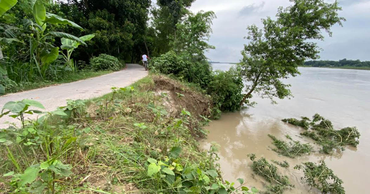 খোকসায় নদী ভাঙনে হুমকিতে পাকা রাস্তা ও বসত বাড়ি