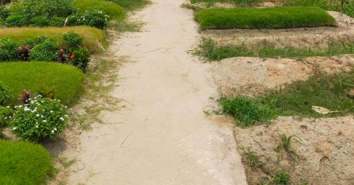রায়েরবাজার কবরস্থানে দাফনকৃত ১১৪ শহীদের মরদেহ উত্তোলনের নির্দেশ