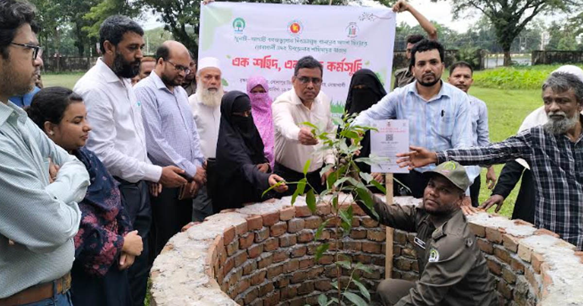 নোয়াখালীতে জুলাই শহীদদের স্মরণে শতবর্ষী গাছ রোপণ