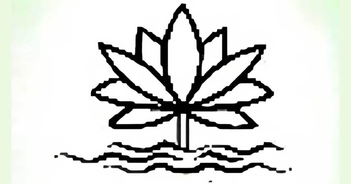 ভোটের মার্কা শাপলা নয়, ইসির সিদ্ধান্ত