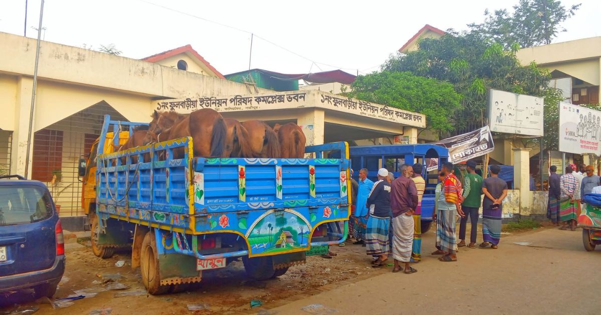 কালিয়াকৈরে জঙ্গল থেকে ৯টি ঘোড়া উদ্ধার, জবাইয়ের প্রস্তুতিকালে আটক ৫
