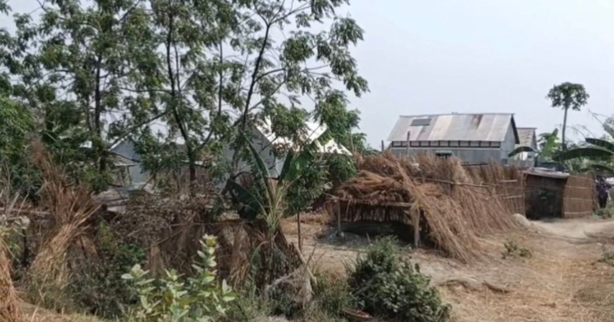 পদ্মার চরে ২৮ বছরের বসতি, তবুও পৌঁছায়নি বিদ্যুৎ-শিক্ষা-চিকিৎসা