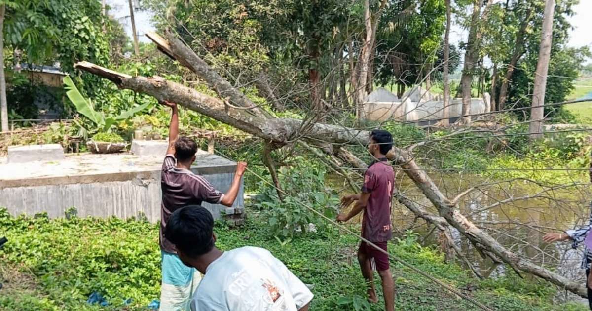 মতলবে ঝড়ের তাণ্ডবে ভেঙেছে অন্তত ২৫টি বৈদ্যুতিক খুঁটি, ৪ লক্ষাধিক মানুষ বিদ্যুৎবিহীন