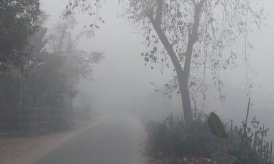 পঞ্চগড়ে জেঁকে বসেছে মাঝারি শৈত্যপ্রবাহ, বিপর্যস্ত জনজীবন
