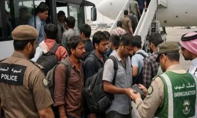 এক সপ্তাহে ১১ হাজারের বেশি অভিবাসী গ্রেপ্তার