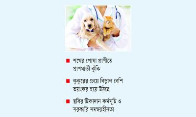 অসচেতনতায় বাড়ছে জলাতঙ্ক