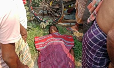 মাগুরার মহম্মদপুরে বাস-ভ্যান সংঘর্ষ, নিহত ১