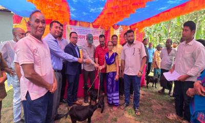 মধুপুরে ক্ষুদ্র-নৃগোষ্ঠীর মাঝে ছাগল বিতরণ