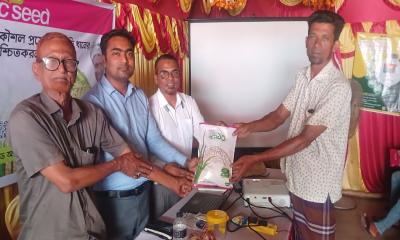 রাজবাড়ীতে ধানের উৎপাদন বৃদ্ধি করতে ব্র্যাক সিডের কর্মশালা
