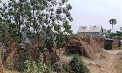 পদ্মার চরে ২৮ বছরের বসতি, তবুও পৌঁছায়নি বিদ্যুৎ-শিক্ষা-চিকিৎসা