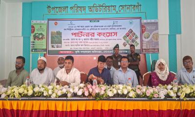 সোনারগাঁয়ে কৃষি বিষয়ক পার্টনার কংগ্রেস কর্মশালা অনুষ্ঠিত
